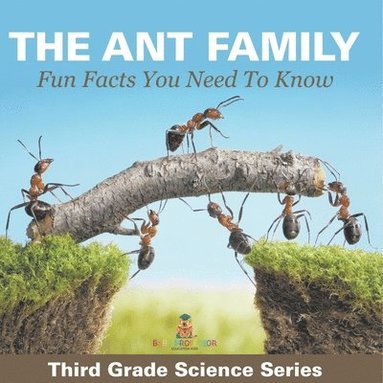 bokomslag Ant Family - Fun Facts You Need To Know