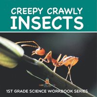 bokomslag Creepy Crawly Insects