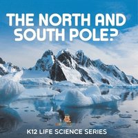 bokomslag North and South Pole?