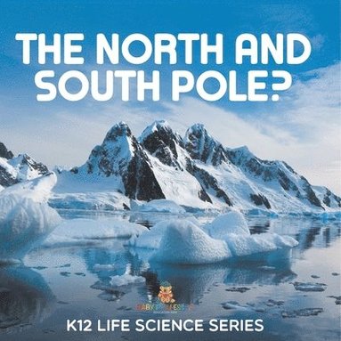 bokomslag North and South Pole?
