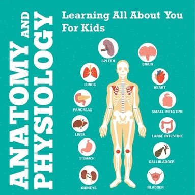 bokomslag Anatomy And Physiology