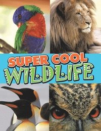 bokomslag Super Cool Wildlife