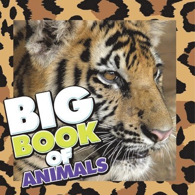 Big Book of Animals 1