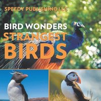 bokomslag Bird Wonders - Strangest Birds