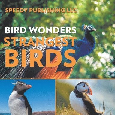 bokomslag Bird Wonders - Strangest Birds