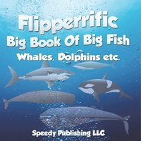 bokomslag Flipperrific Big Book Of Big Fish (Whales, Dolphins etc)
