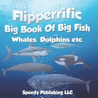 bokomslag Flipperrific Big Book Of Big Fish (Whales, Dolphins etc)