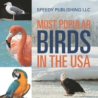 bokomslag Most Popular Birds In The USA