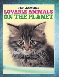 bokomslag Top 20 Most Lovable Animals On The Planet
