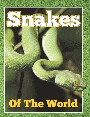 bokomslag Snakes of the World