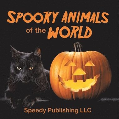 bokomslag Spooky Animals Of The World