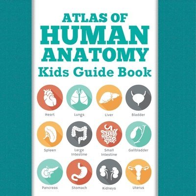 Atlas Of Human Anatomy 1