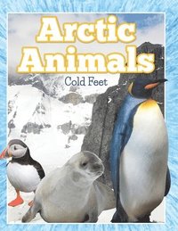 bokomslag Arctic Animals (Cold Feet)