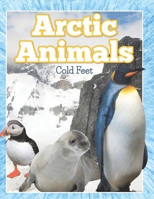 bokomslag Arctic Animals (Cold Feet)