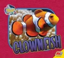 Heather Kissock - Clownfish, Häftad. Tillgänglighet: Kommande
