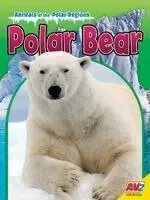 Steve MacLeod - Polar Bear, Häftad. Tillgänglighet: Kommande