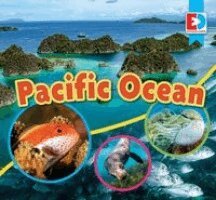 Megan Kopp - Pacific Ocean, Inbunden