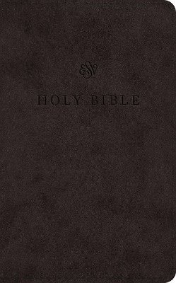 bokomslag ESV Premium Church Bible (Trutone, Black)