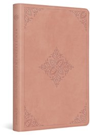 bokomslag ESV New Testament with Psalms and Proverbs