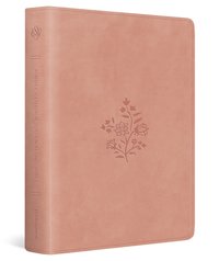 bokomslag ESV Single Column Journaling Bible