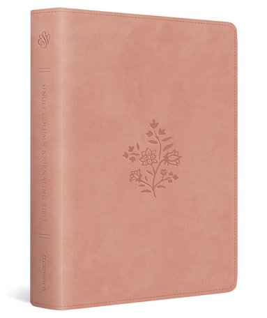 bokomslag ESV Single Column Journaling Bible