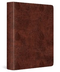 bokomslag ESV Single Column Journaling Bible