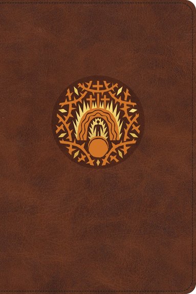 bokomslag ESV The Biggest Story Holy Bible for Kids