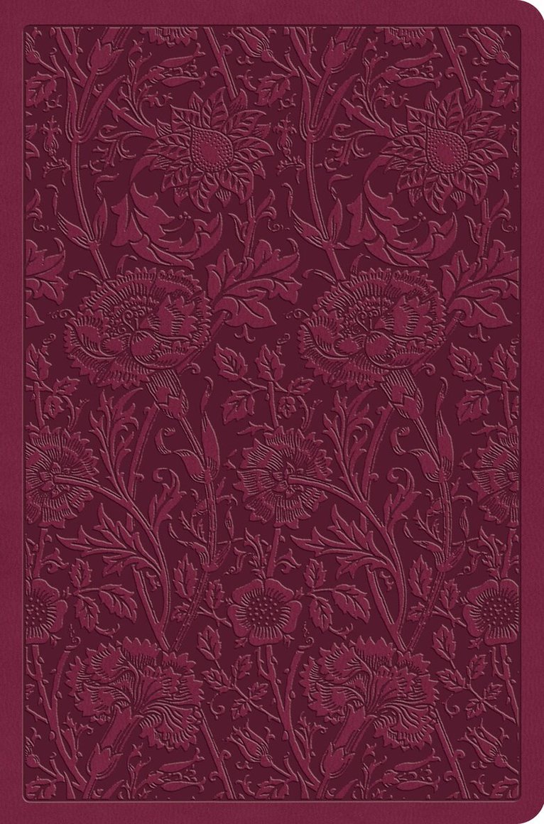 Esv Bibles - ESV Value Compact Bible, Inbunden