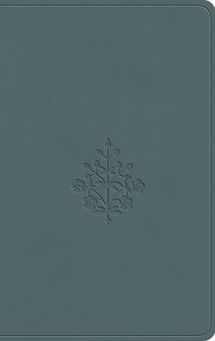 Esv Bibles - ESV Value Compact Bible, Inbunden