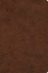 bokomslag ESV Value Compact Bible, Red Letter
