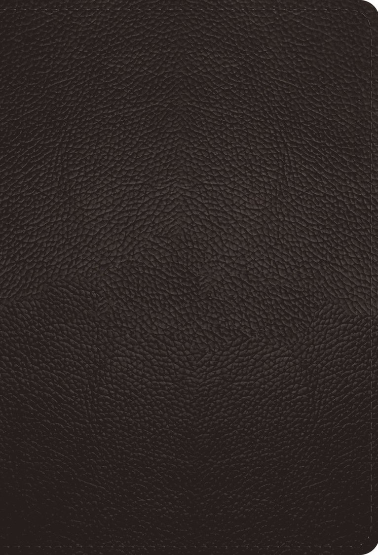 ESV Large Print Compact Bible, Red Letter