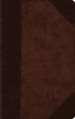 ESV Large Print Compact Bible, Red Letter 1