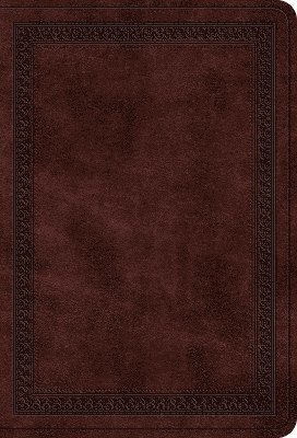 ESV Value Large Print Compact Bible 1