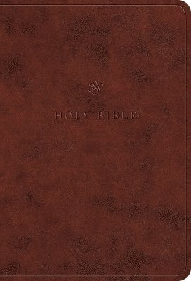 bokomslag ESV Value Large Print Compact Bible