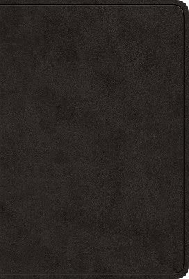 ESV Value Large Print Compact Bible, Red Letter 1