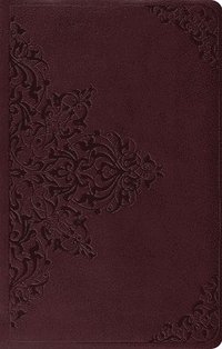 bokomslag ESV Premium Gift Bible