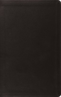 ESV Value Thinline Bible 1