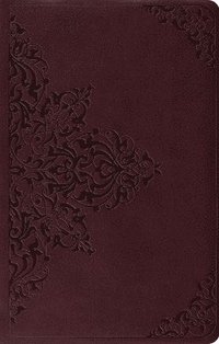 bokomslag ESV Value Thinline Bible