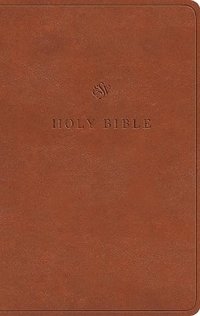 bokomslag ESV Value Thinline Bible