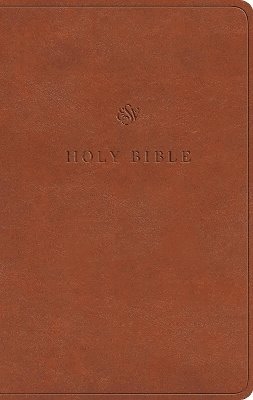 ESV Value Thinline Bible 1