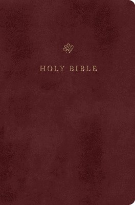 bokomslag ESV Gift and Award Bible
