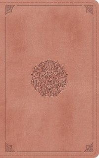 bokomslag ESV Thinline Bible