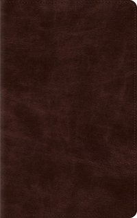 bokomslag ESV Thinline Bible