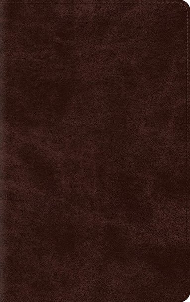 bokomslag ESV Thinline Bible