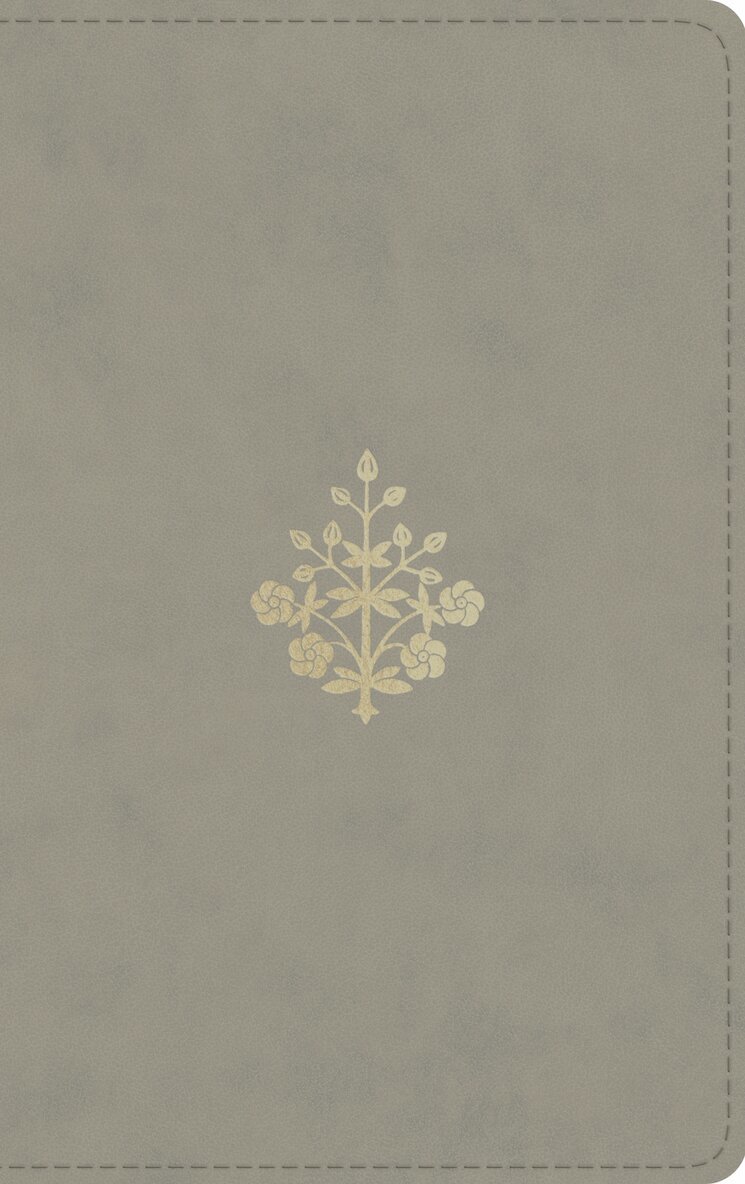 Esv Bibles - ESV Thinline Bible, Red Letter, Inbunden