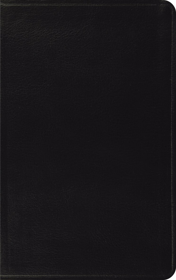 Esv Bibles - ESV Thinline Bible, Red Letter, Inbunden