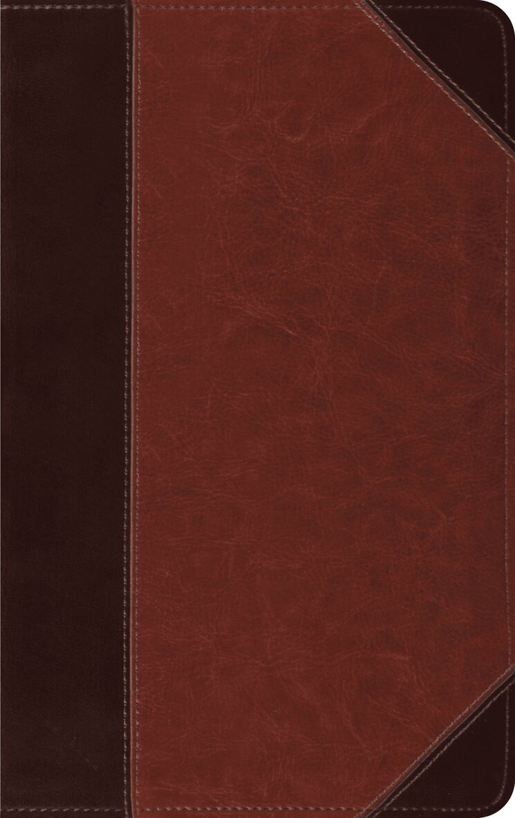 Esv Bibles - ESV Thinline Bible, Red Letter, Inbunden