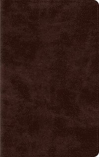 bokomslag ESV Thinline Bible, Red Letter
