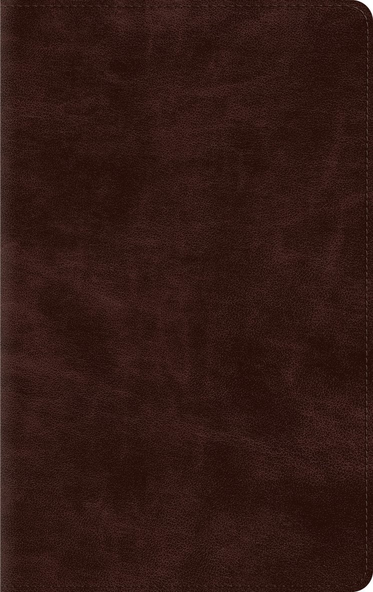 Esv Bibles - ESV Thinline Bible, Red Letter, Inbunden