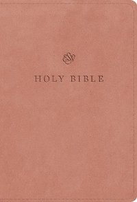 bokomslag ESV Large Print Compact Bible